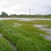 regn_11-12_juni_2009 3